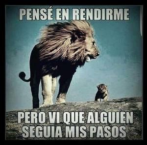 Meet your Posher, Iker